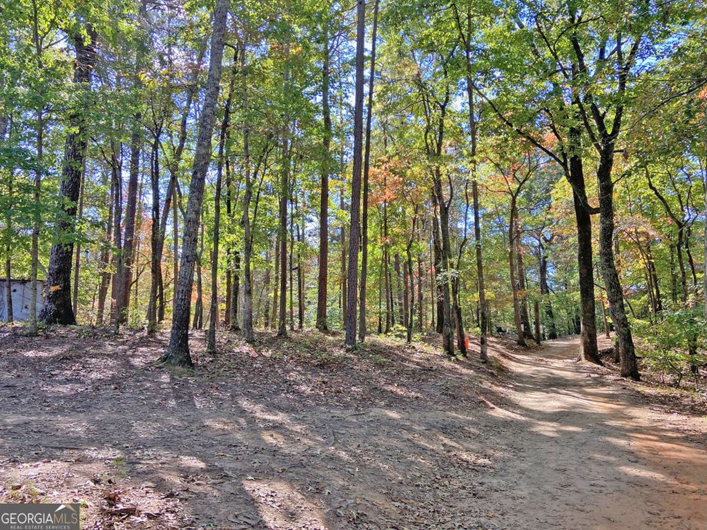 Photo of 962 Winters Mountain Road, Dahlonega, GA 30533 (MLS # 10625175)
