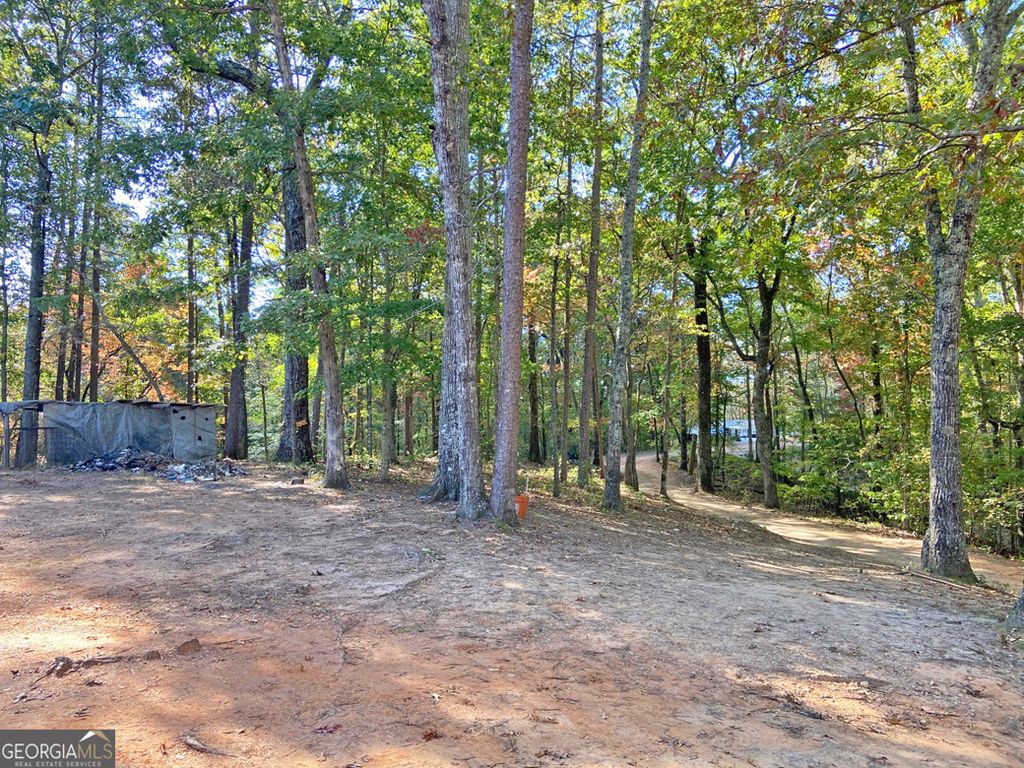 Photo of 962 Winters Mountain Road, Dahlonega, GA 30533 (MLS # 10625175)