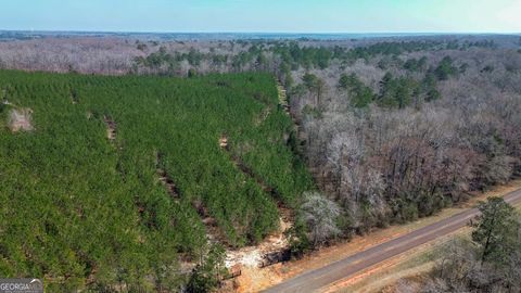 Photo of 0 Dozier Road, Ellaville, GA 31806 (MLS # 10716430)