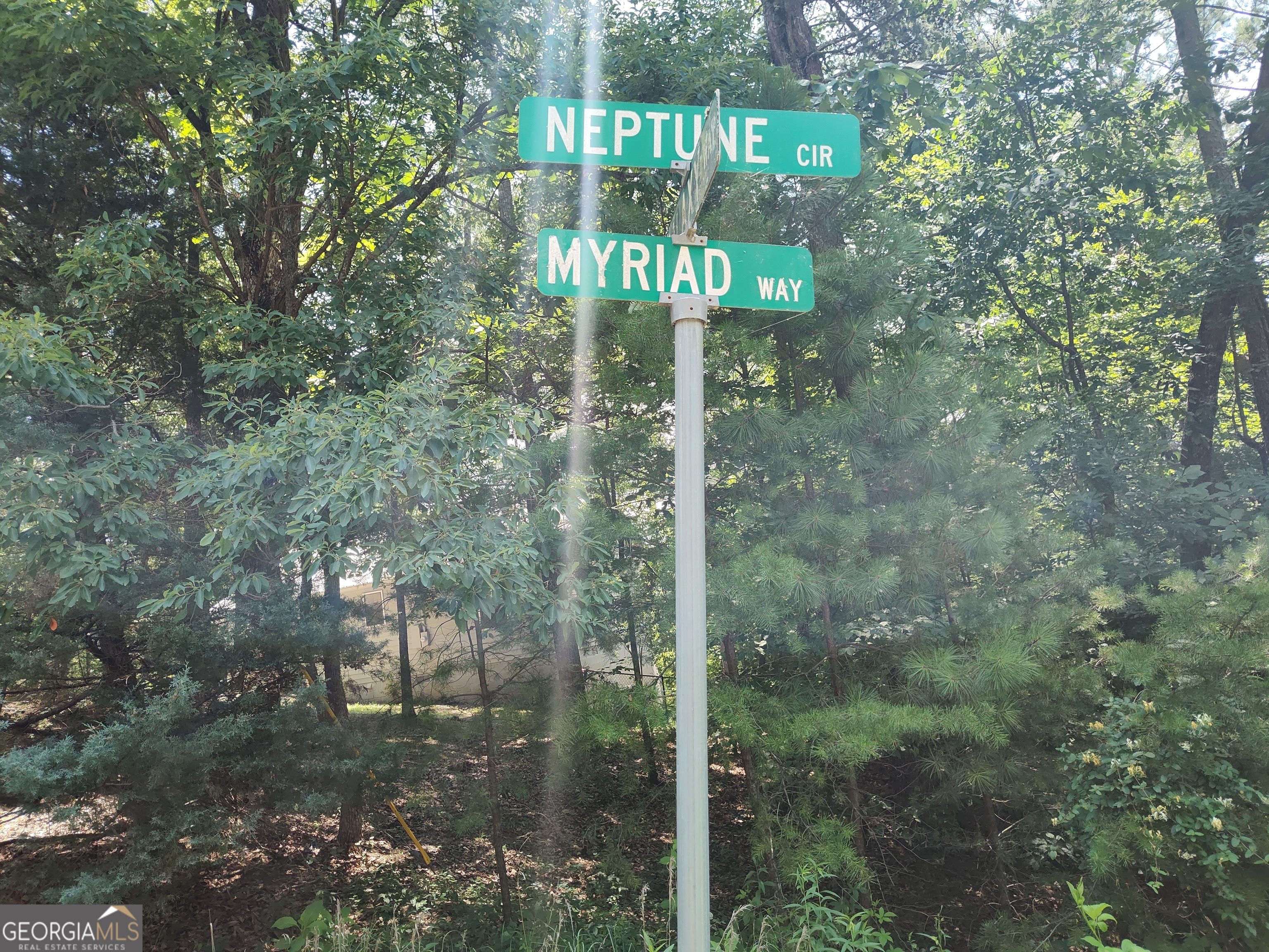 560 Neptune CIR
