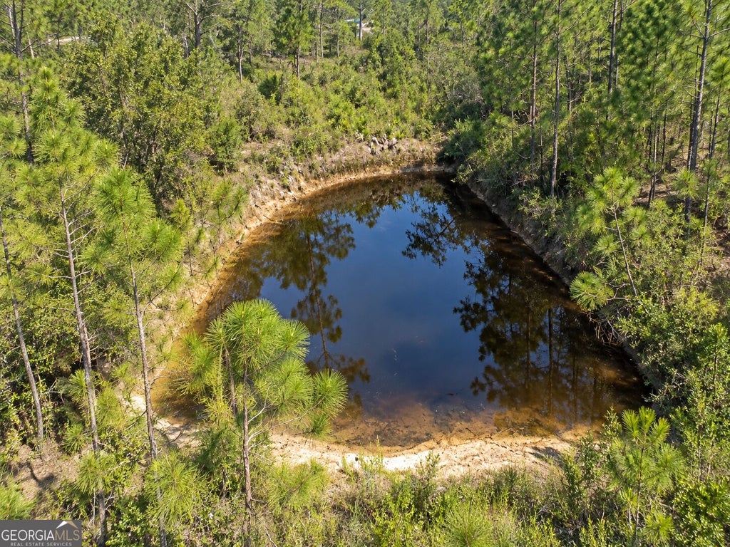 Photo of 82 Fargo Highway, Homerville, GA 31634 (MLS # 10853979)