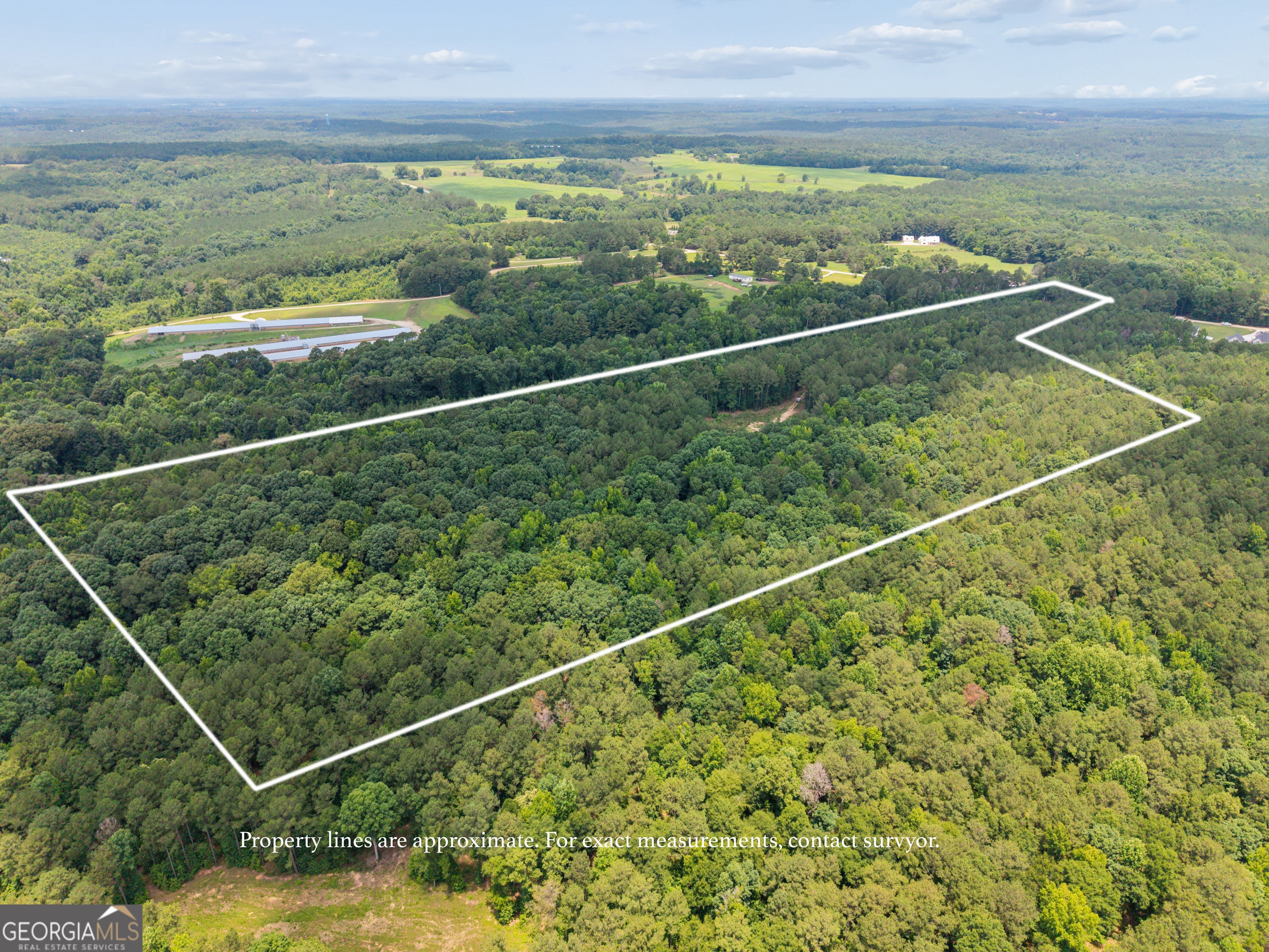 28.61 ACRES Sandy Creek RD