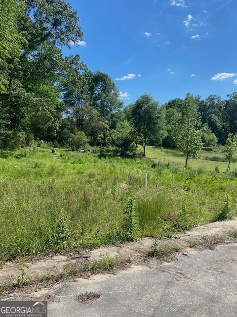 1662 Carnes Creek RD Toccoa GA 30577