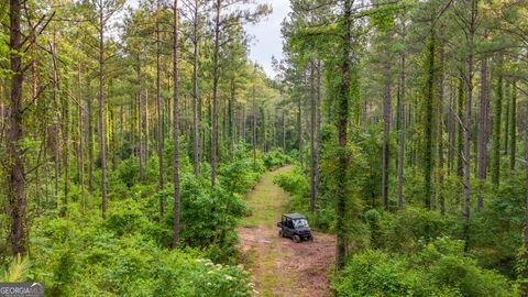 Photo of 36443792 Fortune Hole Road, Hamilton, GA 31811 (MLS # 10567416)