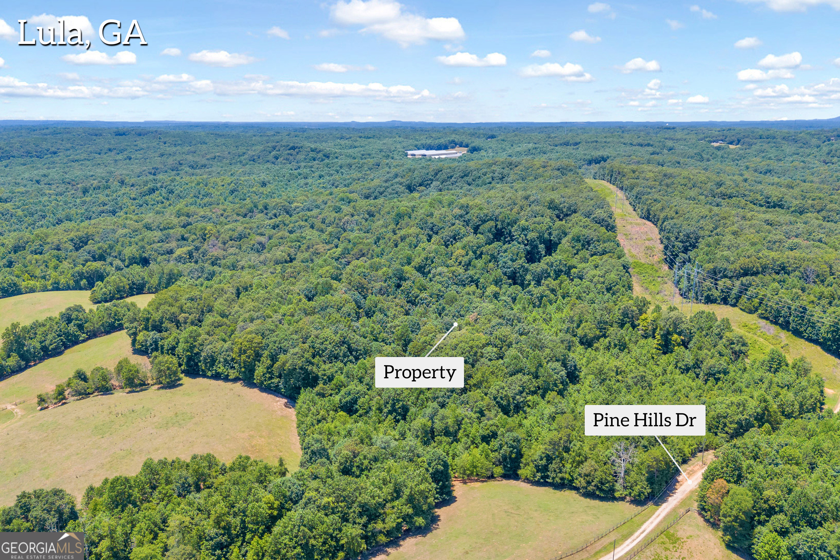 17 Beautiful Wooded Acres in Banks County, the perfect private retreat for your DREAM HOME! Tucked away on a quiet road, just 5 minutes from local dining and parks in Downtown Lula, easy access to Hwy 365, and 20 minutes to either Commerce, Cornelia, or Gainesville. Also convenient to Banks County Schools and Downtown Homer! Bring your House Plans and come take a walk around this beautiful property!