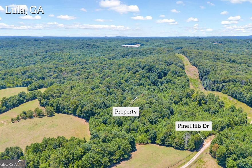 17 Beautiful Wooded Acres in Banks County, the perfect private retreat for your DREAM HOME! Tucked away on a quiet road, just 5 minutes from local dining and parks in Downtown Lula, easy access to Hwy 365, and 20 minutes to either Commerce, Cornelia, or Gainesville. Also convenient to Banks County Schools and Downtown Homer! Bring your House Plans and come take a walk around this beautiful property!