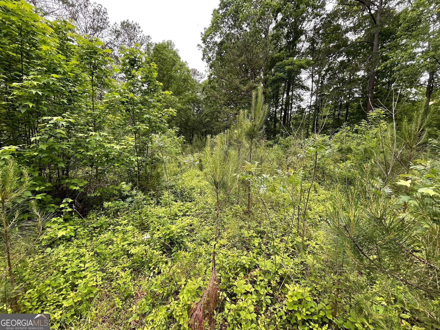 Covington, Georgia 30016, United States, ,Land,Active,132211