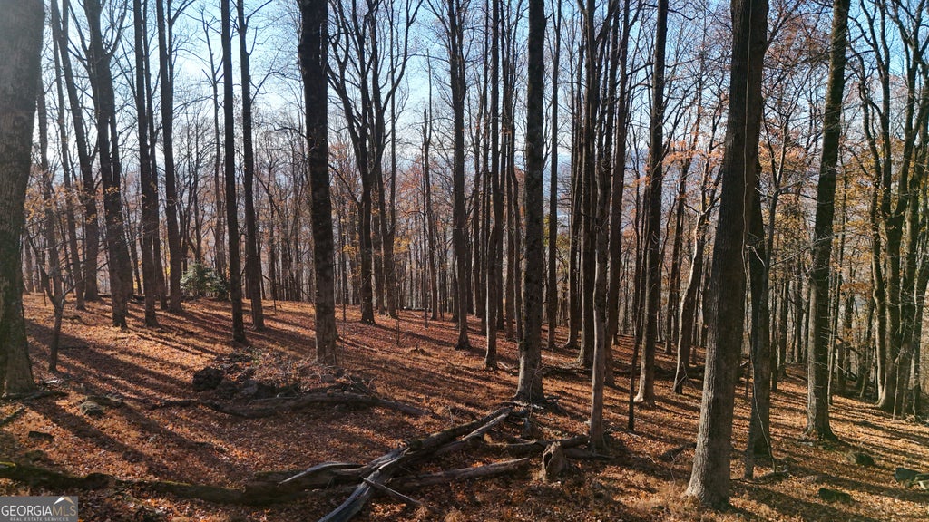 Photo of 11 Mountainside Drive, Cleveland, GA 30528 (MLS # 10851937)