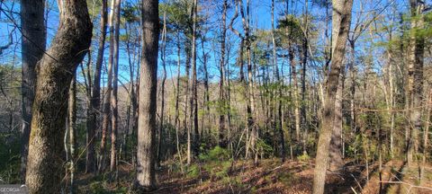 0 Underwood LN Clayton GA 30525