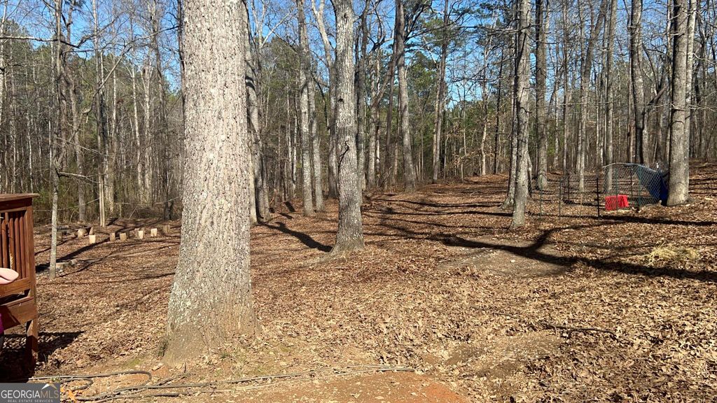 Photo of 73 Friendship Church Road, Buchanan, GA 30113 (MLS # 10703148)