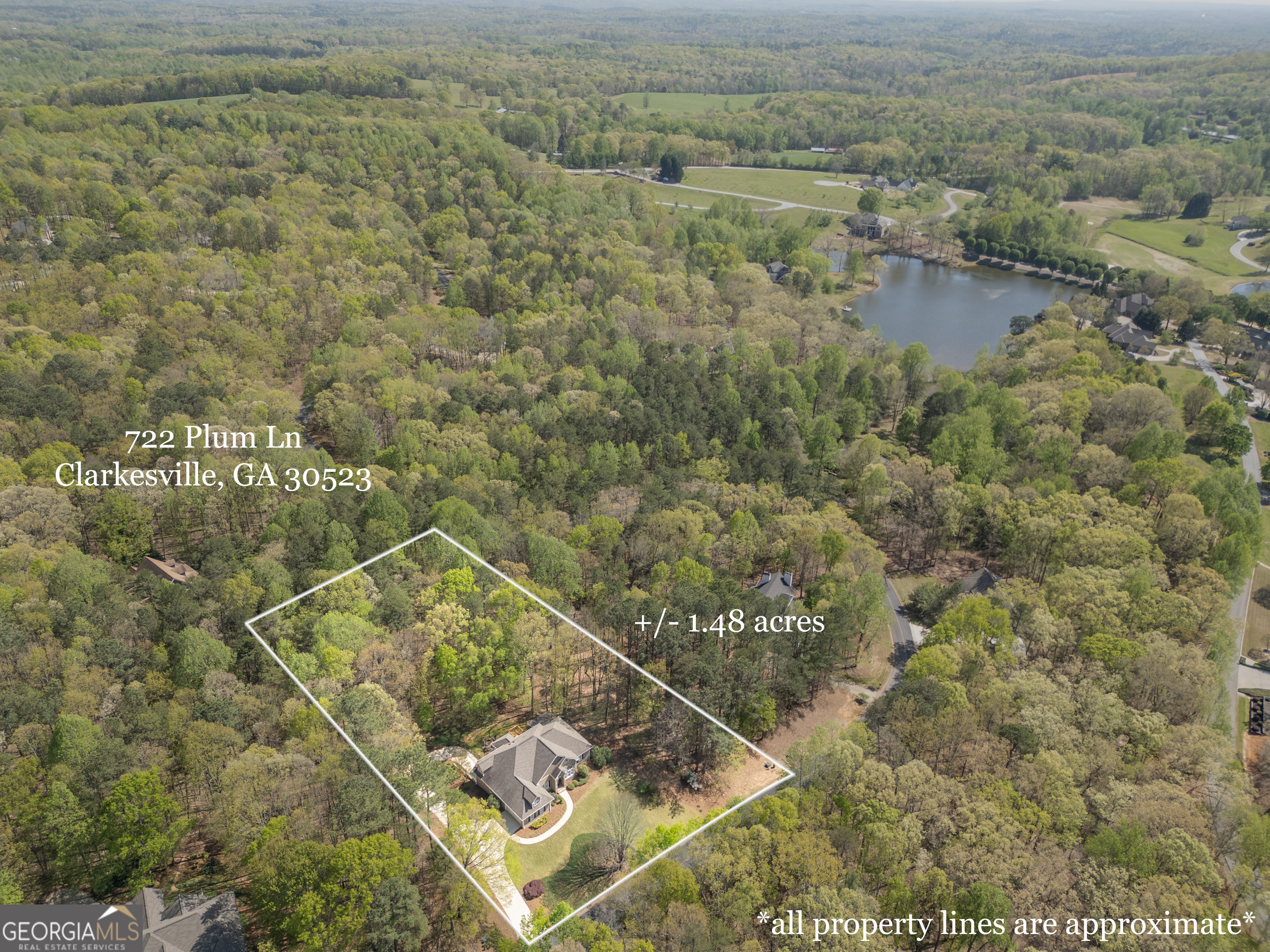 Clarkesville, Georgia 30523, United States, 5 Bedrooms Bedrooms, ,5 BathroomsBathrooms,Residential,Active,109158