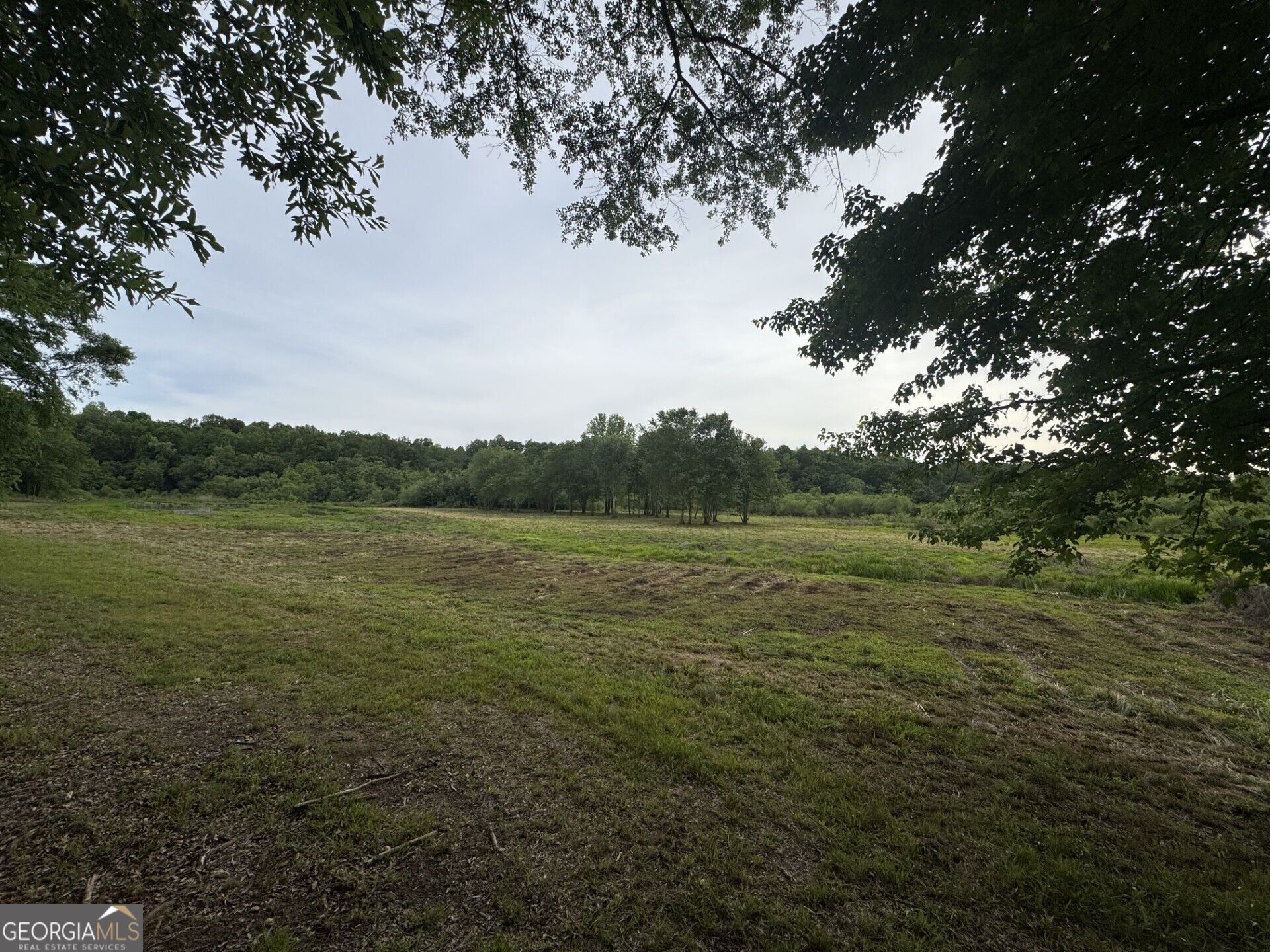 731 Borders RD