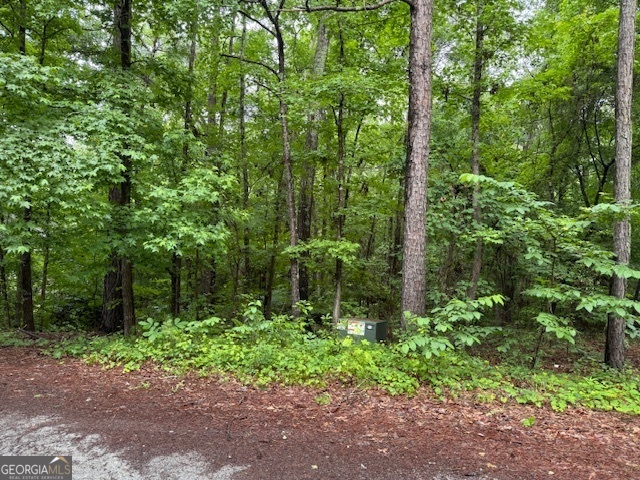 NEW PRICE!! Beautiful wooded building lot in the Turtle Cove community of Monticello, GA! This serene cul-de-sac lot offers the perfect canvas for your dream home in an amenity-rich neighborhood surrounded by natural beauty. Turtle Cove is known for its abundant amenities, including exclusive access to several private beaches along the shores of Jackson Lake, a 9-hole golf course, and newly renovated club house offering full restaurant and lounge. Outdoor enthusiasts will love the variety of recreational options, such as basketball, pickleball courts, swimming pool, and playground. Residents enjoy the peaceful atmosphere away from the hustle and bustle!! Turtle Cove features multiple boat ramps for easy lake access, perfect for water sports, fishing, or simply enjoying a sunset on the water. This lot on Robin Court is ready for you to build the ideal getaway or full-time residence in this friendly, active community!