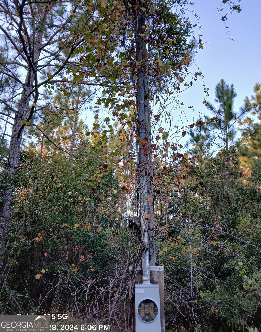 Photo of 5 Old Kings Bay Road #1, Waynesville, GA 31566 (MLS # 10742174)