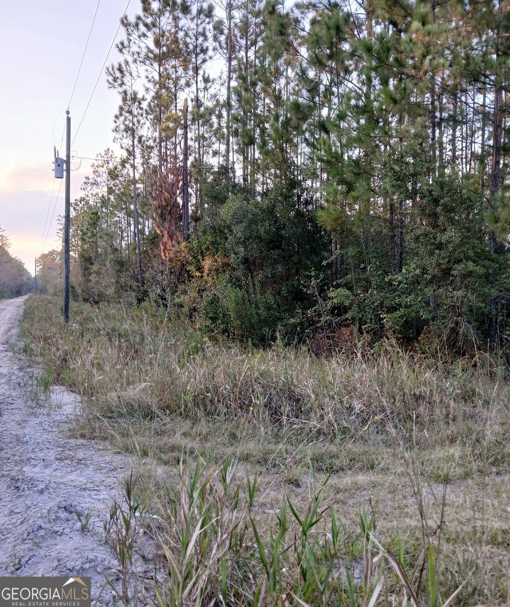 Photo of 5 Old Kings Bay Road #1, Waynesville, GA 31566 (MLS # 10742174)