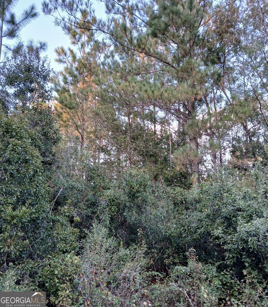 Photo of 5 Old Kings Bay Road #1, Waynesville, GA 31566 (MLS # 10742174)