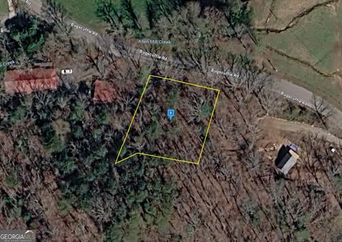 Photo of 861 Bugscuffle Road, Hiawassee, GA 30546 (MLS # 10738493)