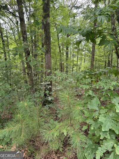 Calling all lake and boat lovers this one is for you, this 1.35 acre Homesite located in Tranquility community, is one of the prime community for Carters Lake. Enjoy the convenience, with Doll Mountain Rec Area and Boat Ramp, Camping, Picnic & Fishing spots at the prestigious Carters Lake, Georgia's deepest Reservoir Lake, just minutes away. What's more, this gem is a mere 2-minute walk from the community park, offering private trails alongside a serene creek. Imagine relaxing in the neighborhood pavilion, and with all roads beautifully paved, well maintained gated lots all in a private setting. Wildlife is abundant too, lake access with boat ramp.