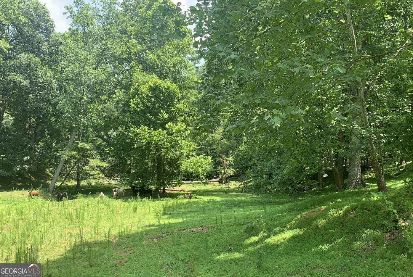 6295 Hawkins DR LOT 2