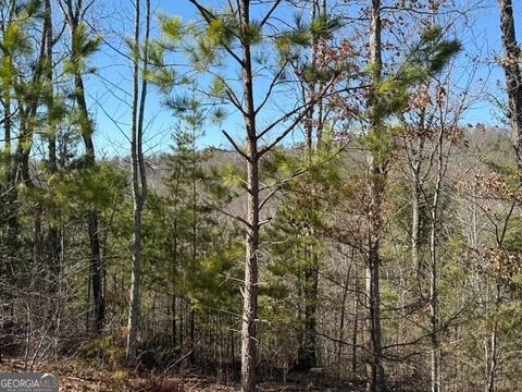 LOT 11 Long View LN Blue Ridge GA 30513