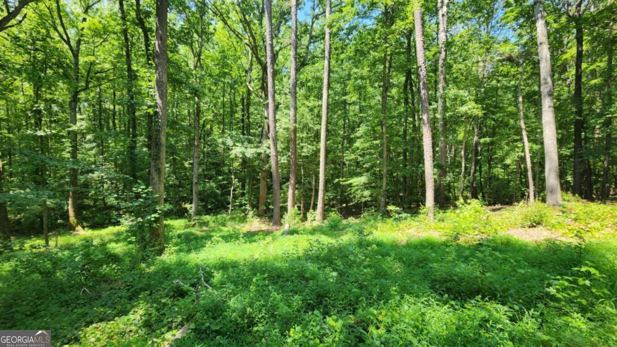 Tucked away on a serene and private 1.46-acre lot in Dawsonville, this basement home is bursting with potential and opportunity. Whether you're an investor seeking your next project or a buyer dreaming of building your own retreat, this property delivers. With no HOA and seller already cleared some portion of the lot, the stage is set for a fresh start-renovate the existing 2-bedroom, 1-bath home, tear it down, or design and build a custom estate. A new well and pump have been installed, and the septic system has already been inspected and serviced, saving you time and money before breaking ground. Perfectly positioned just minutes from North Georgia Premium Outlets, Dawson Crossroads Shopping Center, and a variety of restaurants and grocery stores, you'll enjoy both convenience and seclusion. Nature lovers will fall in love with nearby Edge of the World Trail, the newly opened Styles Park, and Amicalola Falls State Park-home to Georgia's tallest waterfall and a gateway to the Appalachian Trail. Access to healthcare is seamless with Northside Family Medicine, Medical Plaza 1, and Northside Hospital Forsyth all within easy reach. The area is experiencing significant growth, with numerous new construction subdivisions underway. Whether you envision a modern mountain hideaway, a weekend retreat, or your forever home in the heart of Dawson County, this property is a rare canvas where the sky is truly the limit. Sold AS-IS.