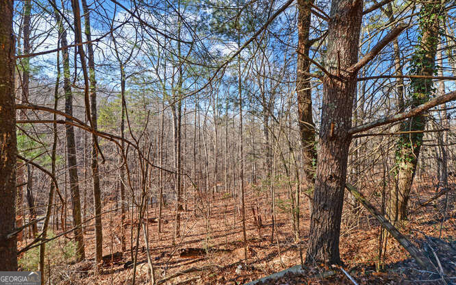 6587 Rufus Bryant RD