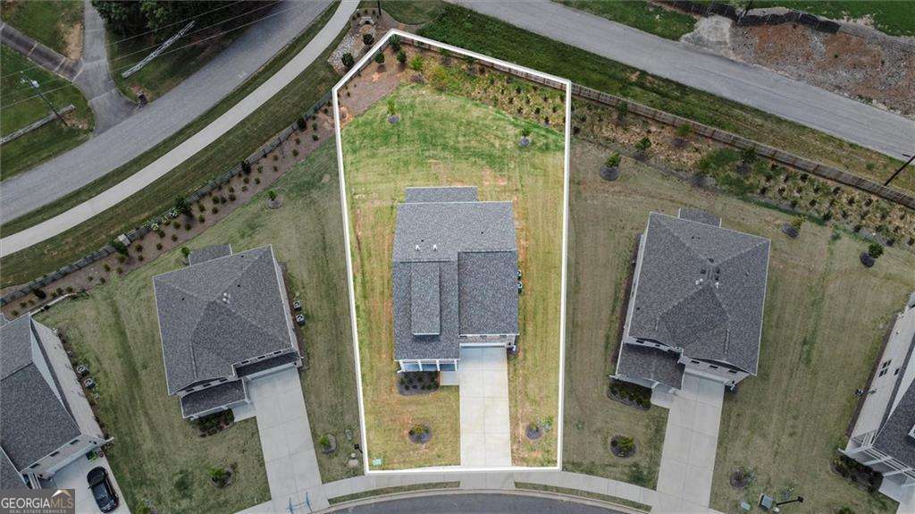 213 Chiswick LOOP