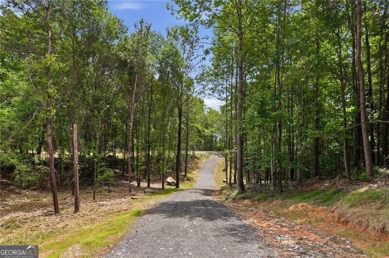 Photo of 1 Pete Path, Dallas, GA 30157 (MLS # 10796060)
