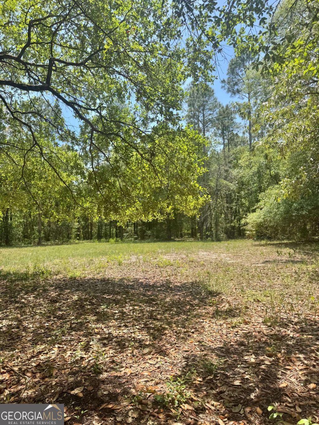 Photo of 652 Picnic Lane, Townsend, GA 31331 (MLS # 10757394)