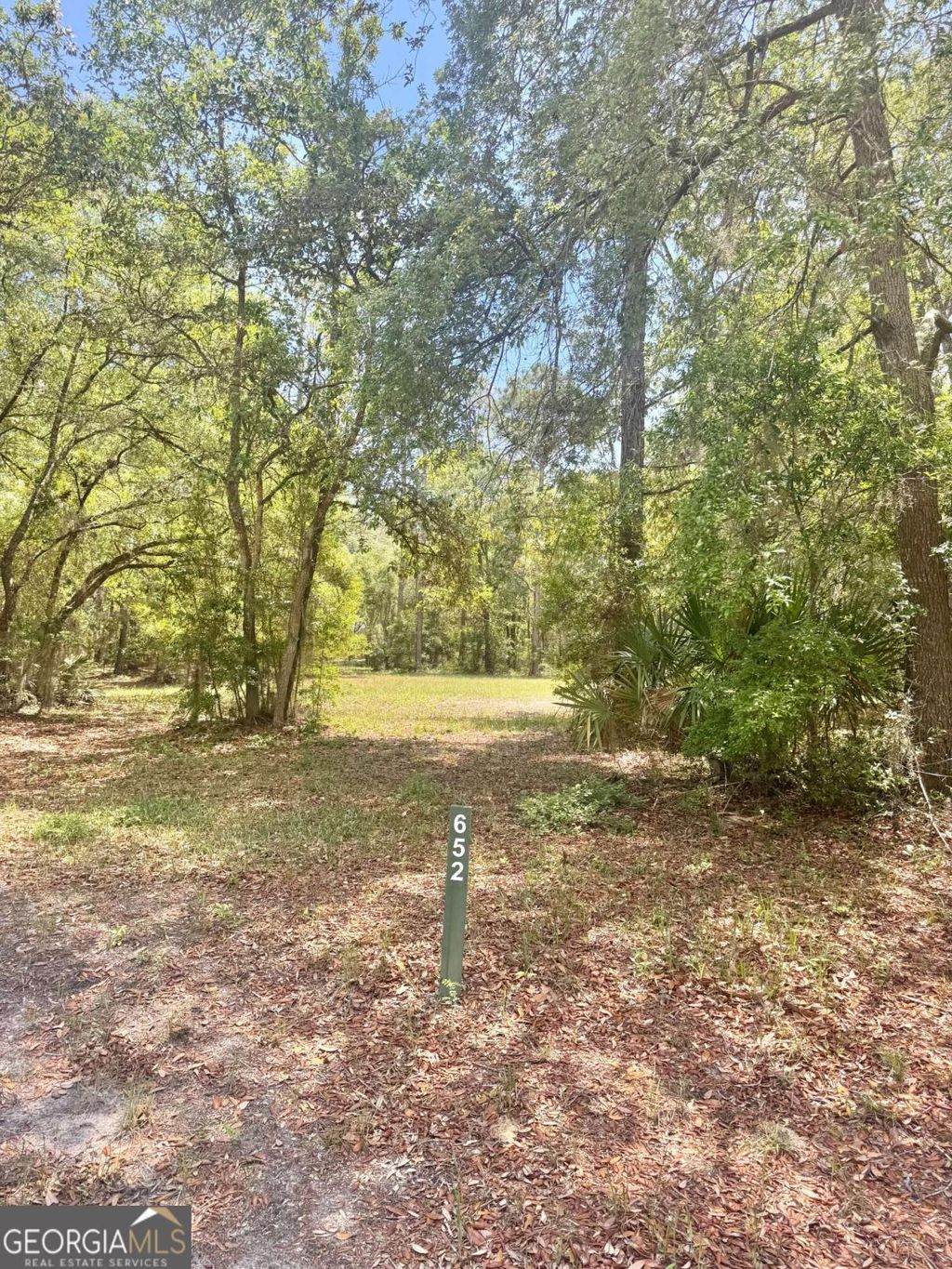 Photo of 652 Picnic Lane, Townsend, GA 31331 (MLS # 10757394)