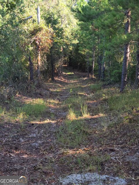 0 Alton Lawson RD Adrian GA 31002