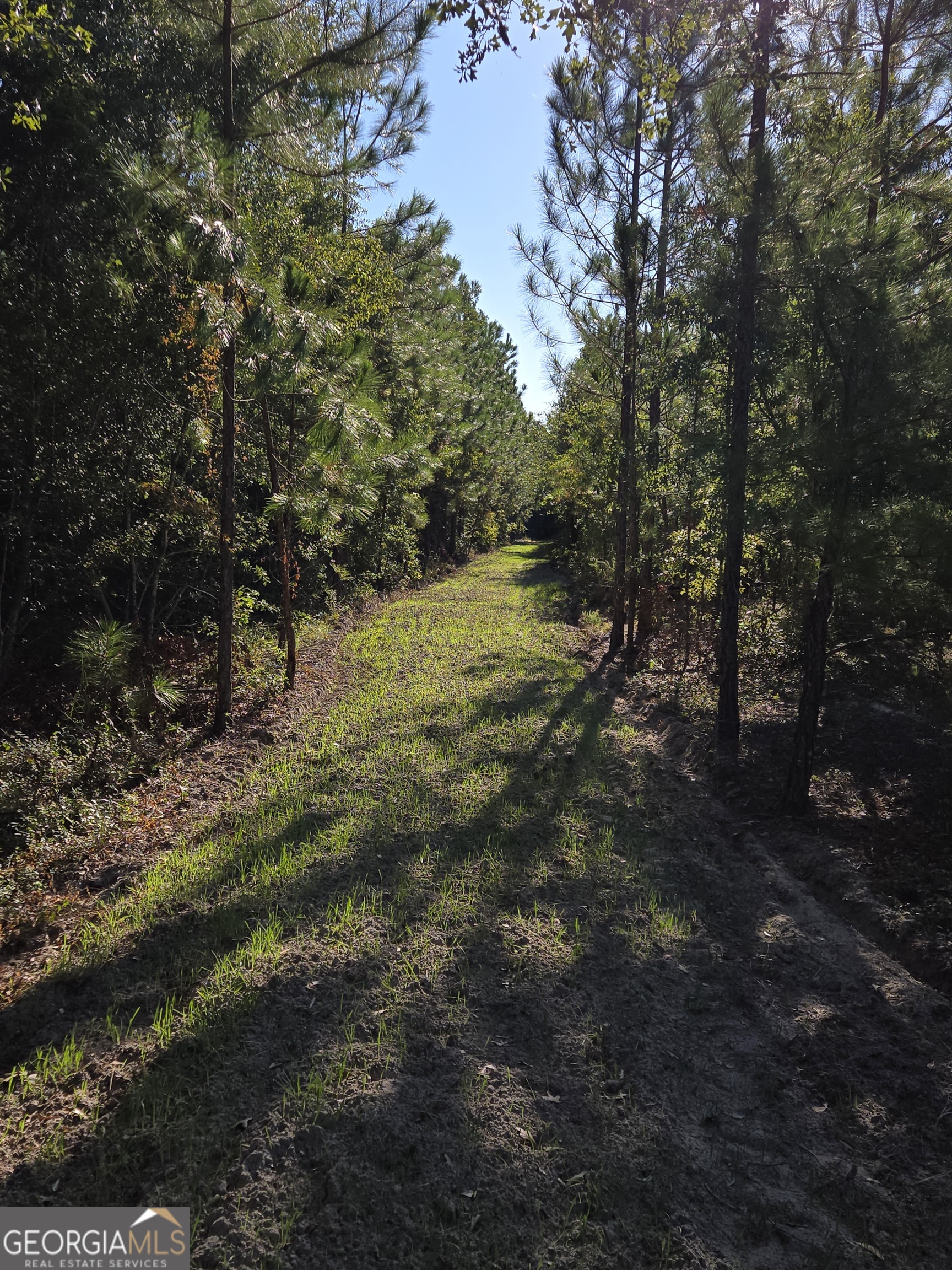 0 Alton Lawson RD