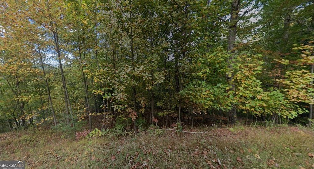 Photo of 452 Sunny View Drive, Blairsville, GA 30512 (MLS # 10693610)