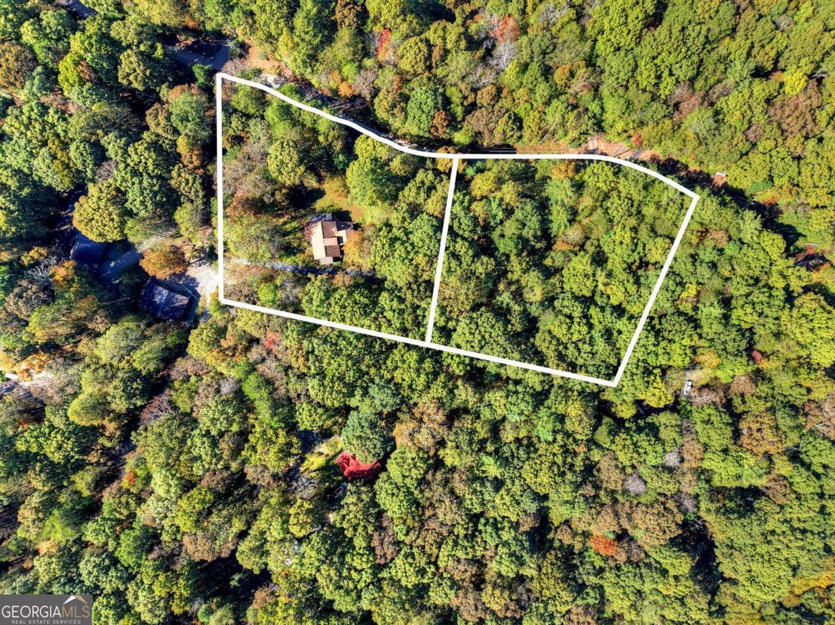 446 Riverwood RD