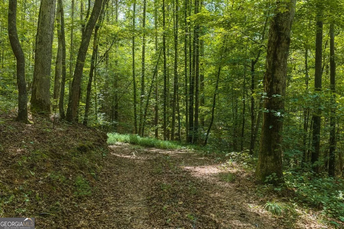 300 Sumac Lane Unit 53, Ellijay, GA, 30540