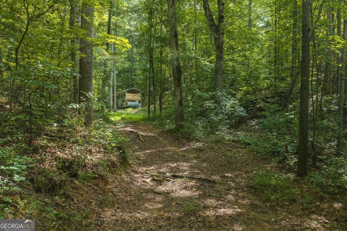 300 Sumac LN 53