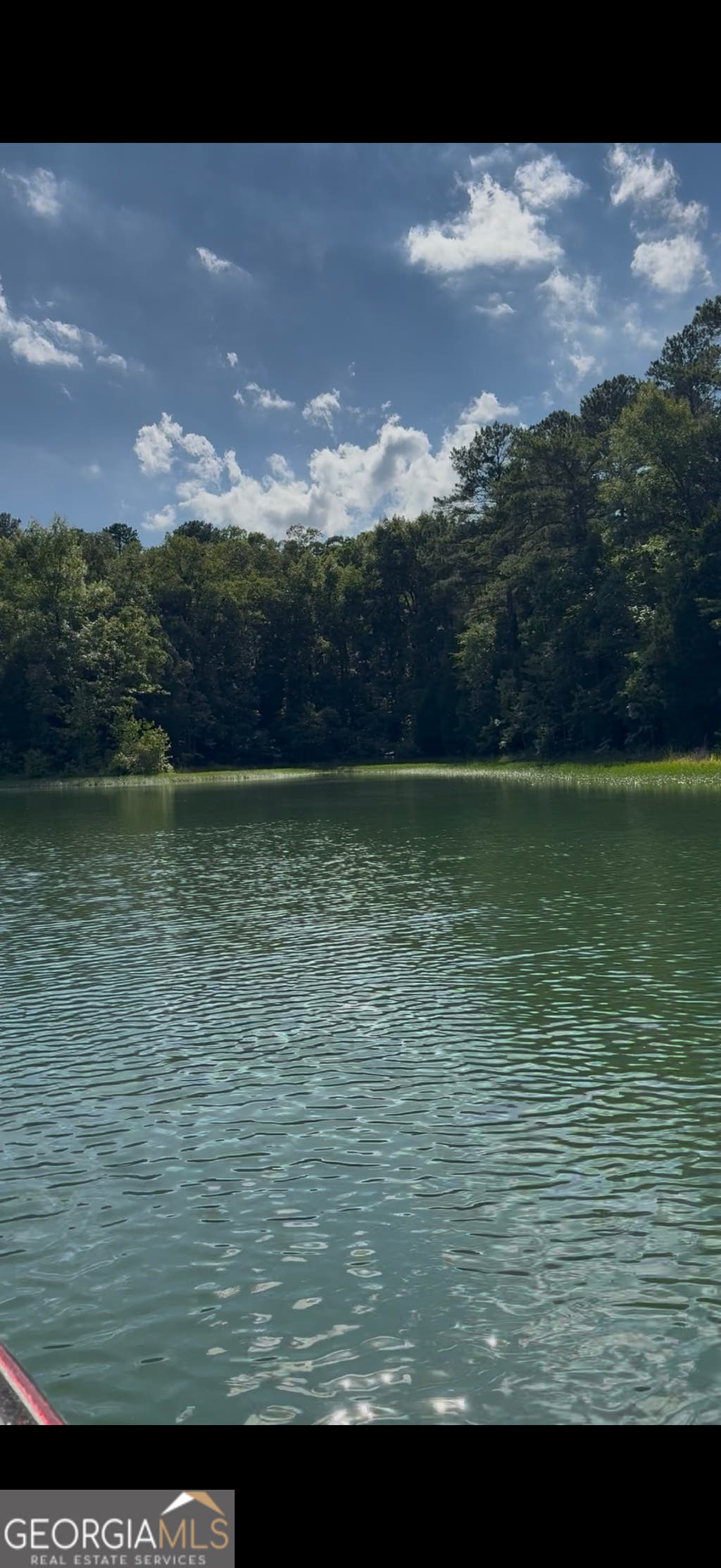 Photo of 48 Beaverdam Drive, Elberton, GA 30635 (MLS # 10795656)