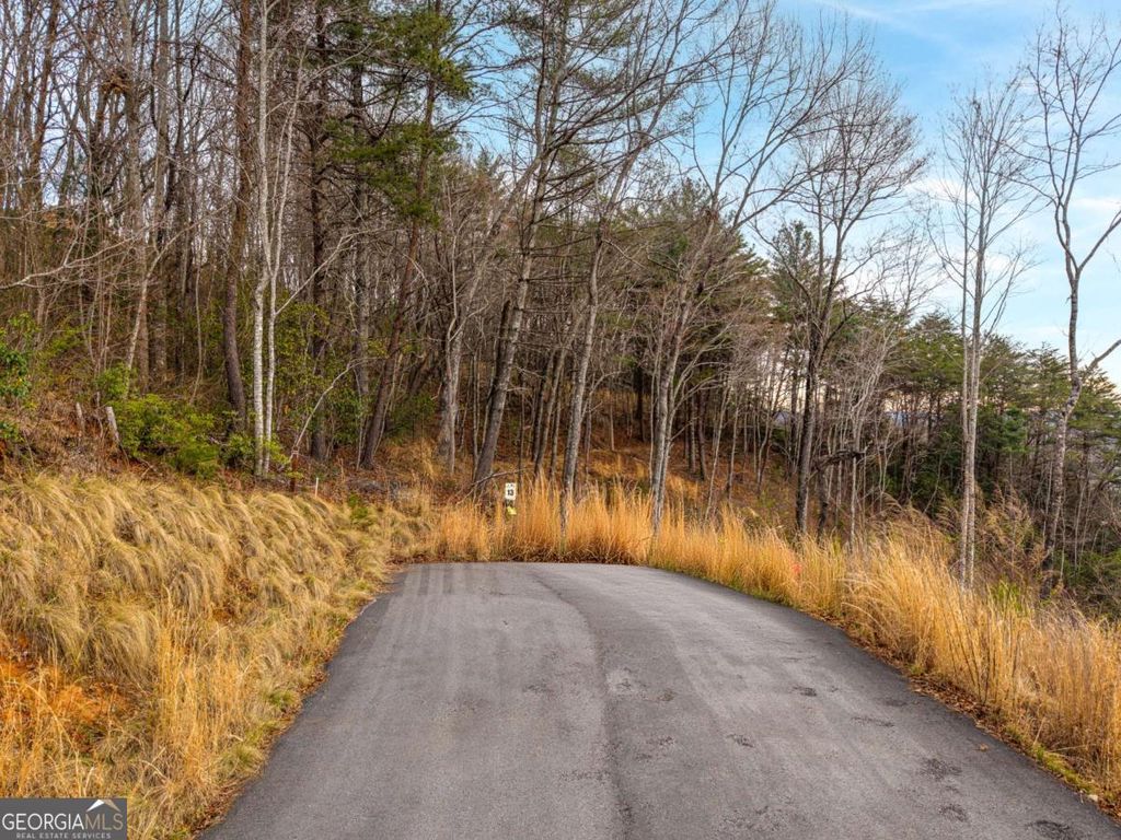 Photo of 13 White Oak Circle #13, Blue Ridge, GA 30513 (MLS # 10719349)