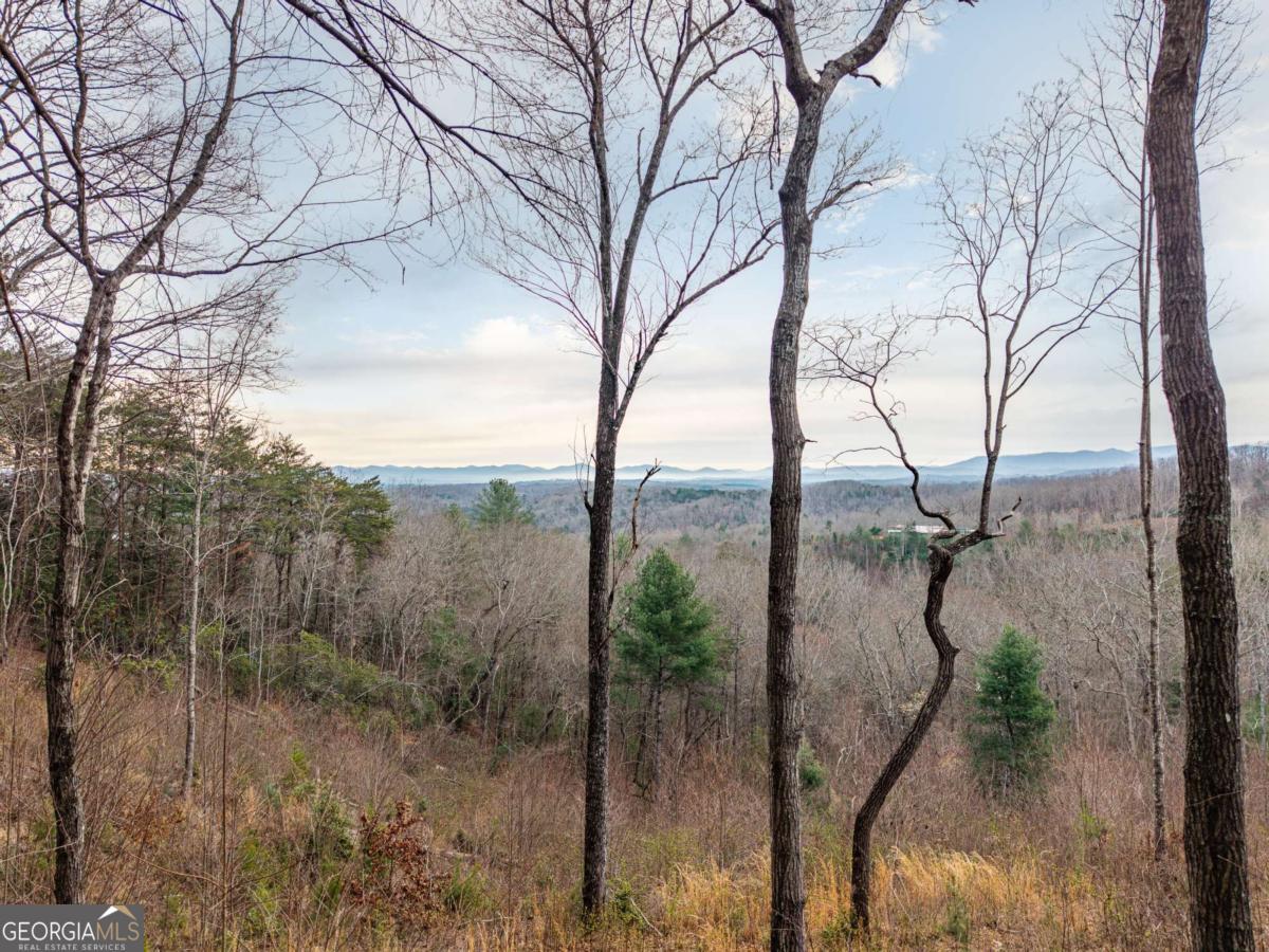 LOT 13 White Oak CIR 13