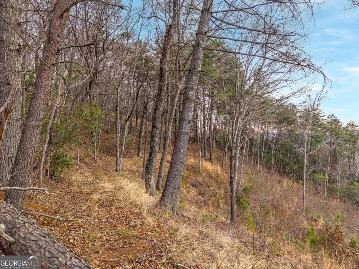 LOT 13 White Oak CIR 13