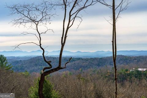 LOT 13 White Oak CIR 13 Blue Ridge GA 30513