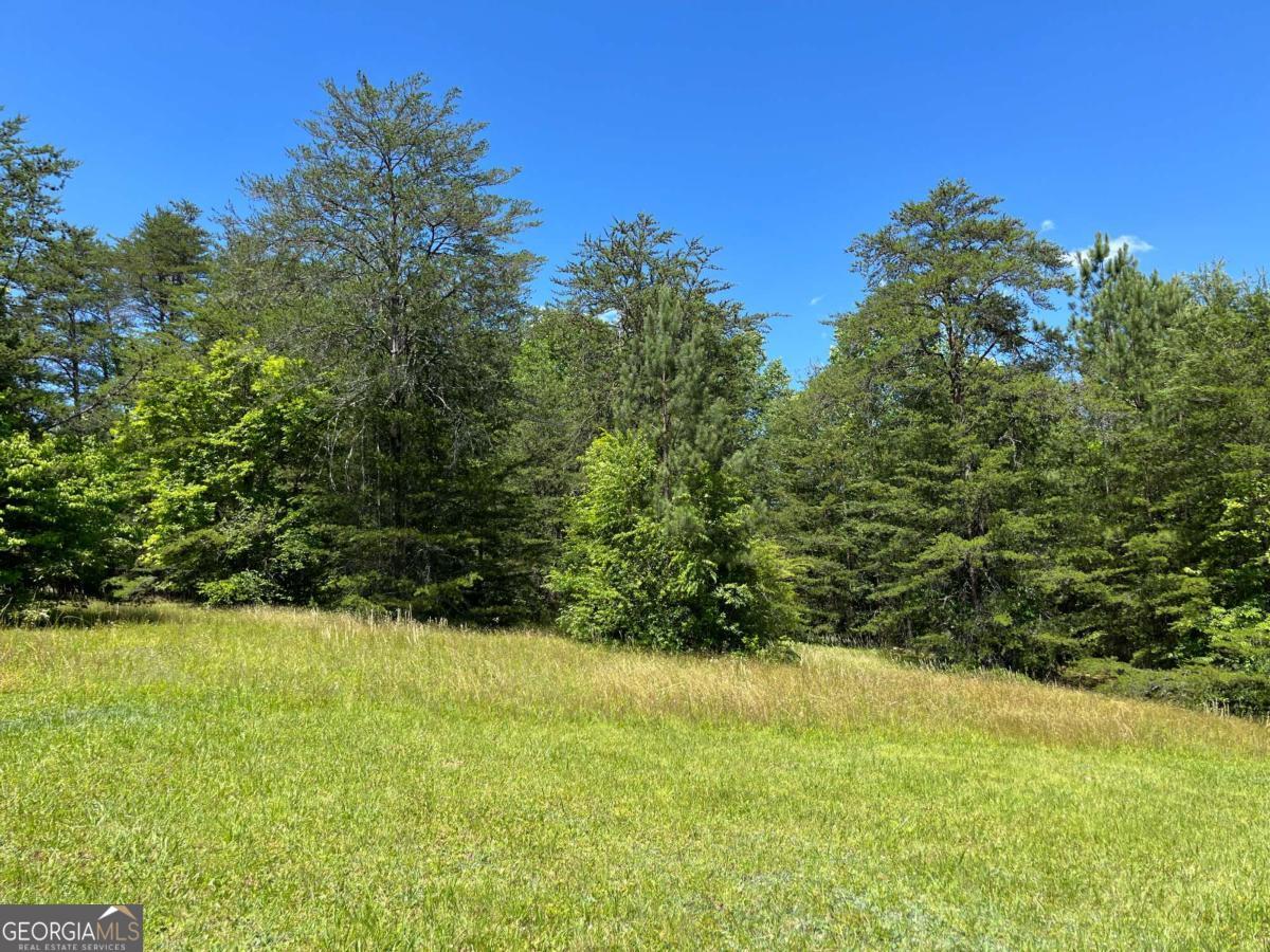LOT 46A Licklog Ridge 46A