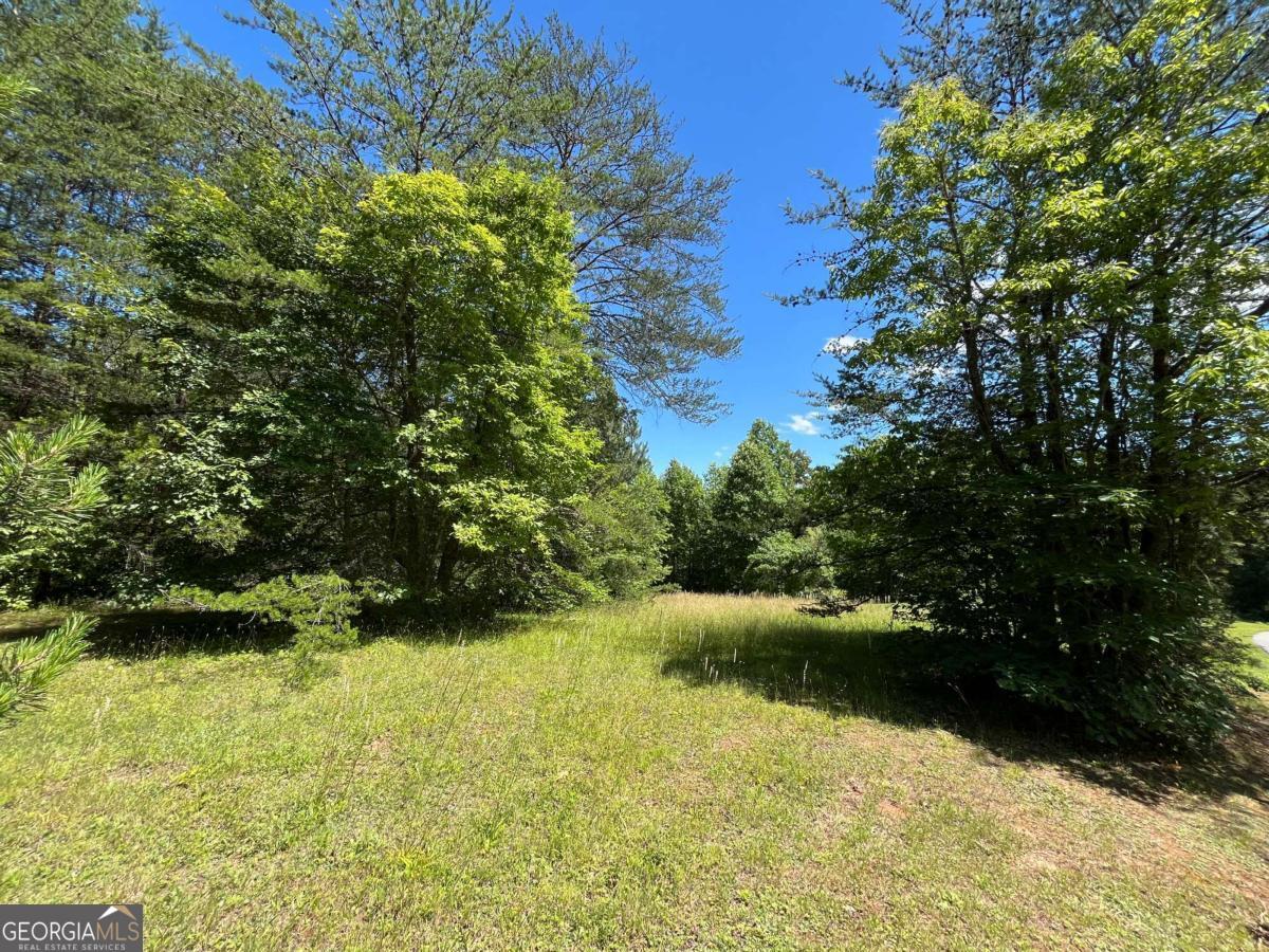 LOT 46A Licklog Ridge 46A