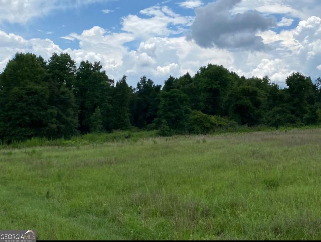 Photo of 1220 State Route 49, Oglethorpe, GA 31068 (MLS # 10713999)