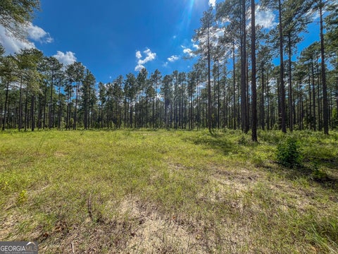 Photo of 0 Mark Wood Rd. Lot 7, Dexter, GA 31019 (MLS # 10847504)