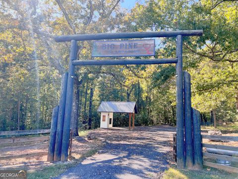 1221 US Hwy 27 Franklin GA 30217