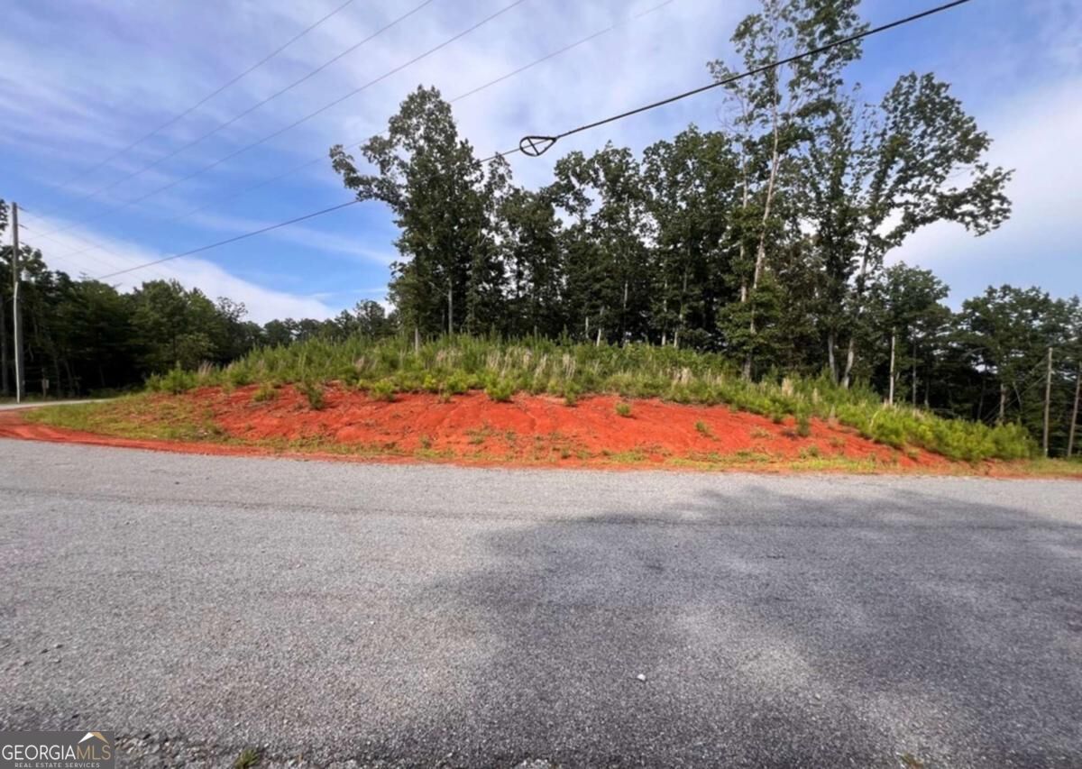 LOT103 Blalock Mountain RD