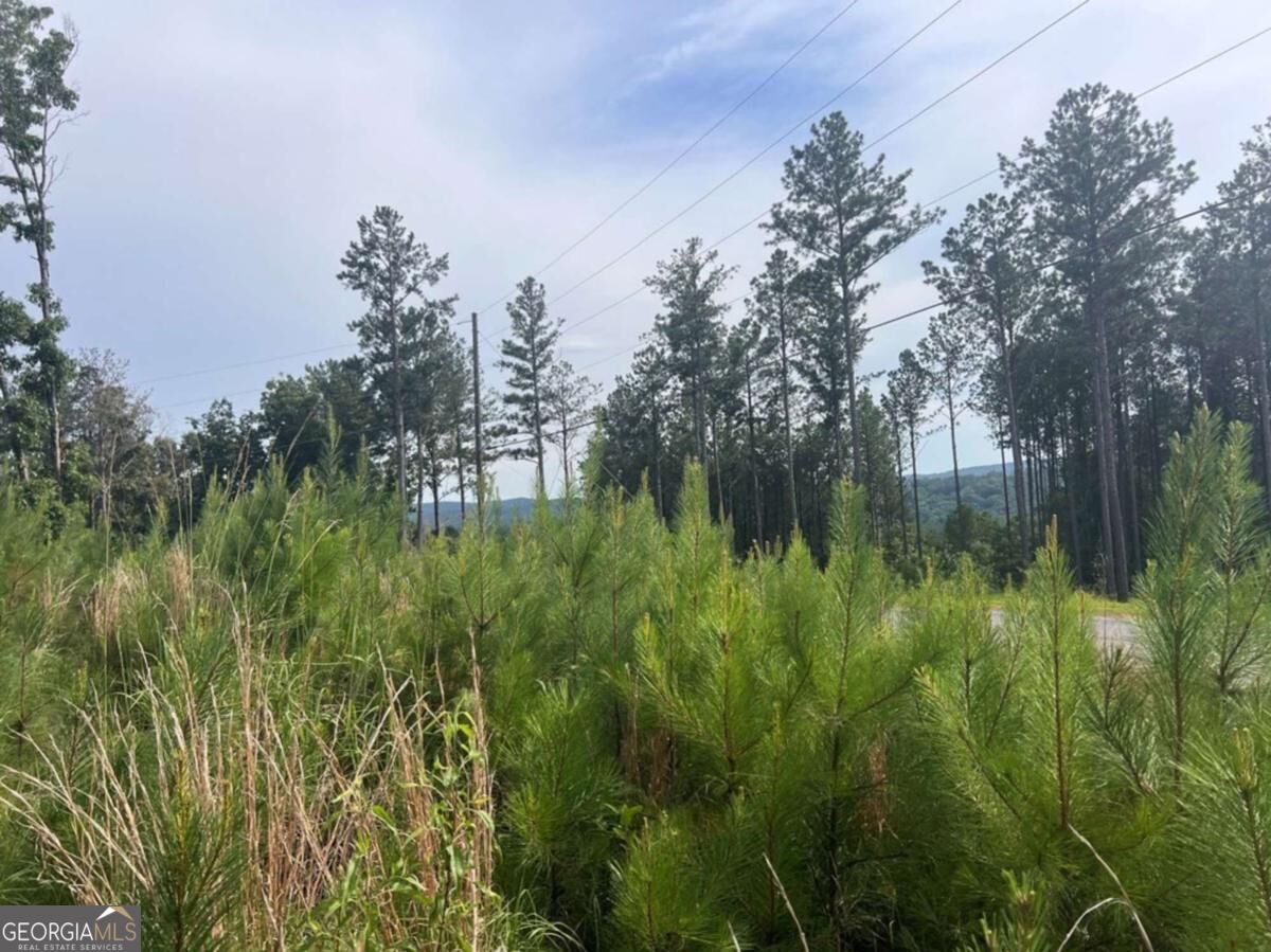 LOT103 Blalock Mountain RD