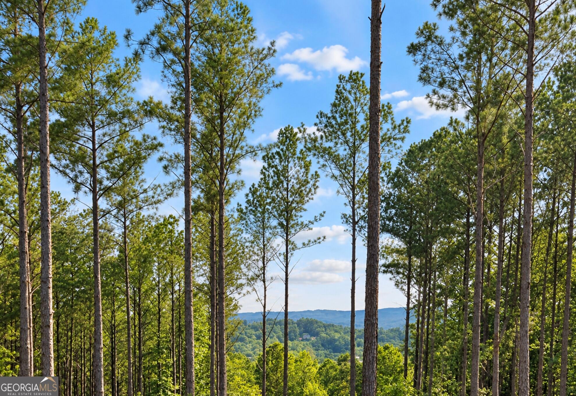 LOT103 Blalock Mountain RD