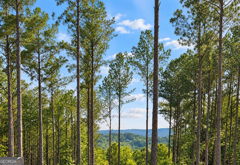 Photo of 103 Blalock Mountain Road, Ellijay, GA 30540 (MLS # 10878759)
